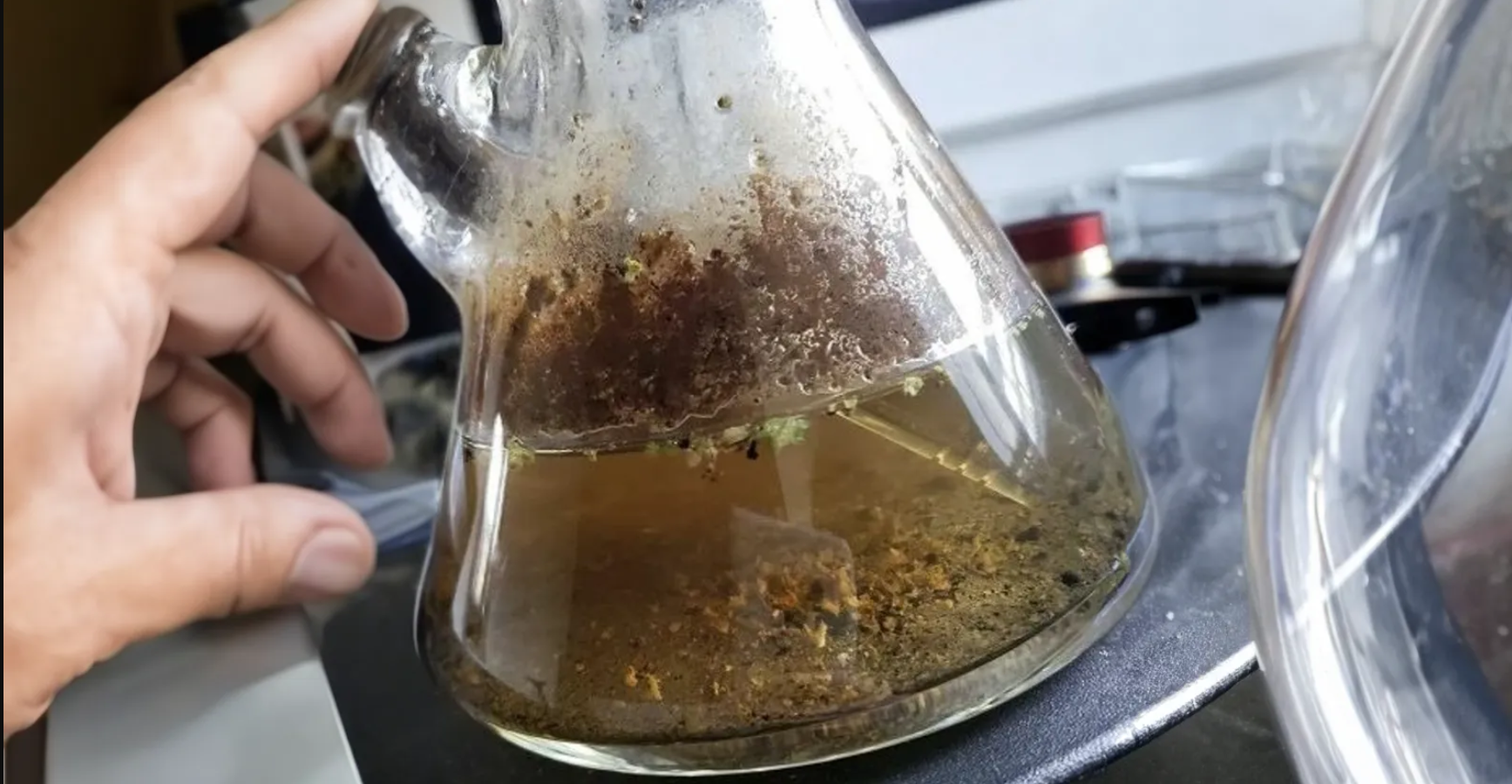 how to prevent mold in your bong