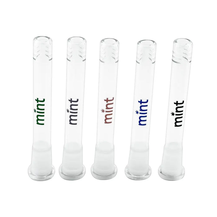 5.25" Mint Downstem Group