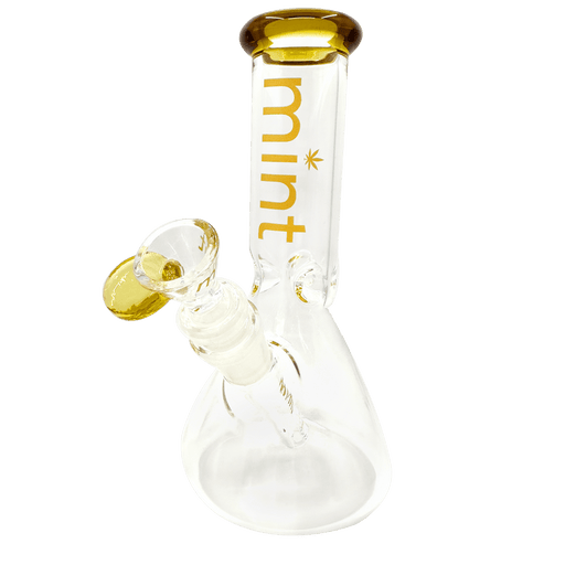 8" Mint Stubby Beaker Bong Mint Glass Bongs Canada