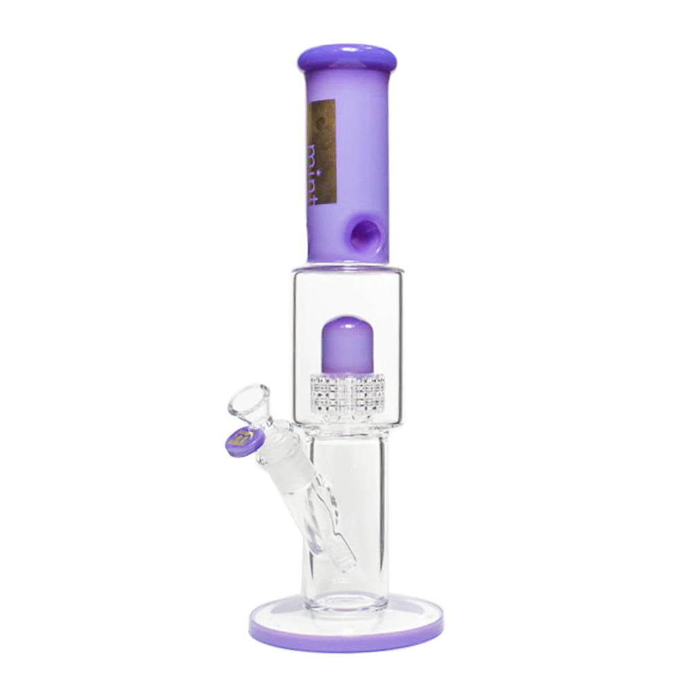 Mint Glass Rexx 14" - Purple