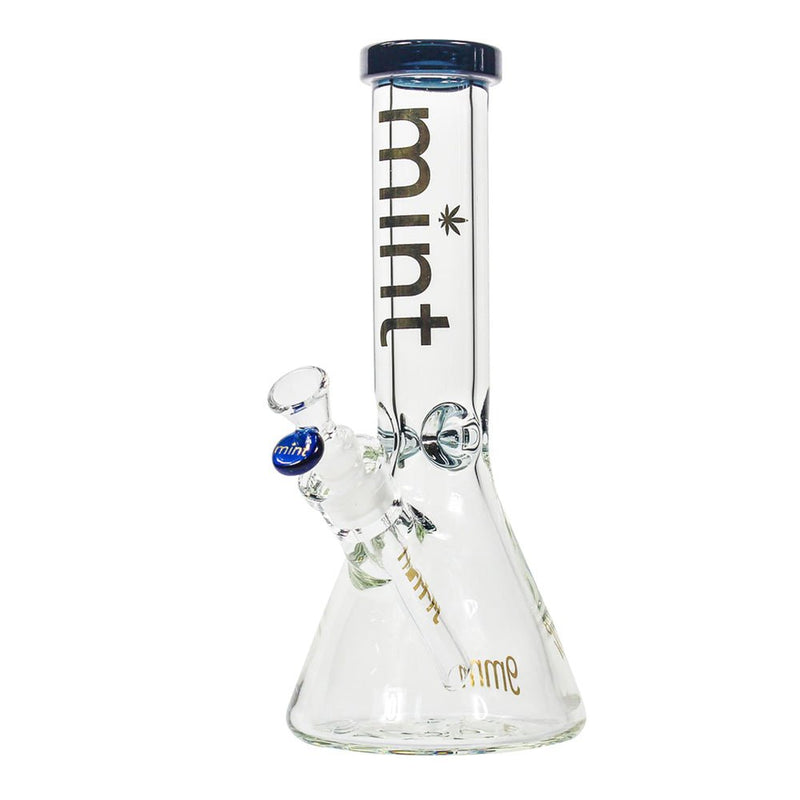 Thicc Chick (9mm) - Purple simple Mint Glass Bongs Canada